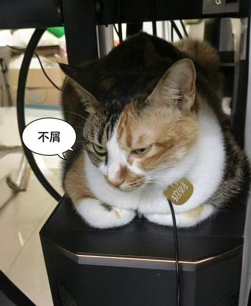 不屑一顾喵 — The Unimpressed