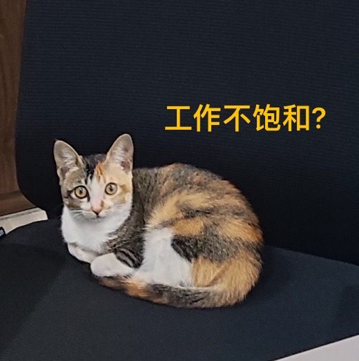 监工喵总 — The Supervising Cat Boss